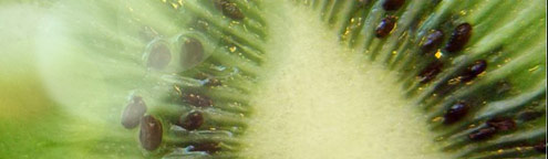 Kiwi aufgeschnitten